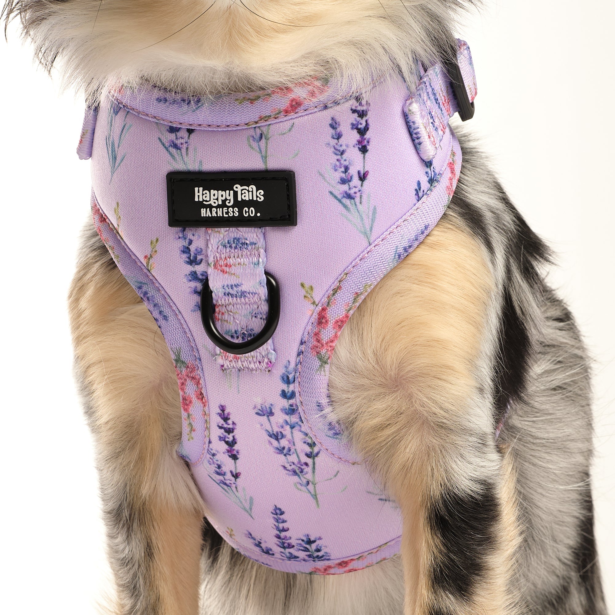 Lavender Fields Adjustable Harness