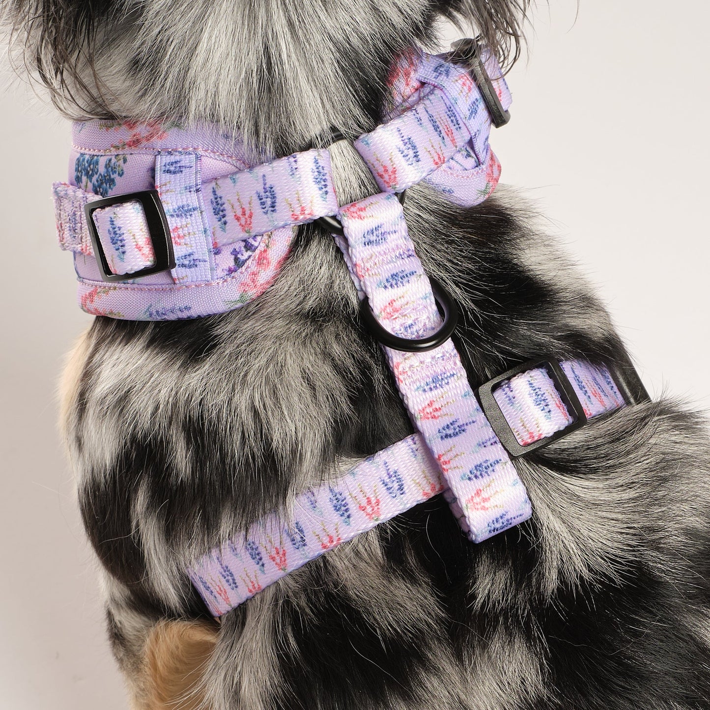 Lavender Fields Adjustable Harness