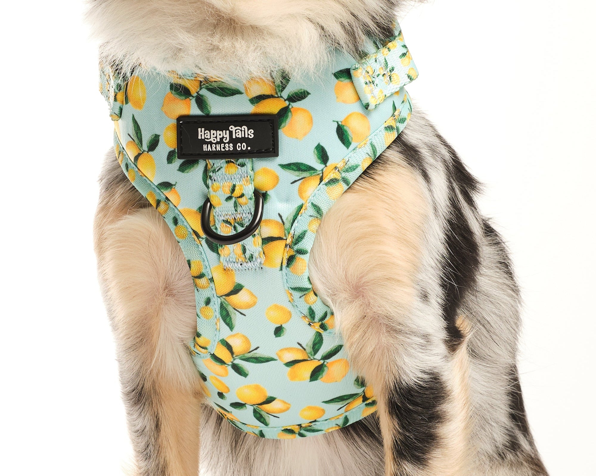 Lemon Drop Adjustable Harness