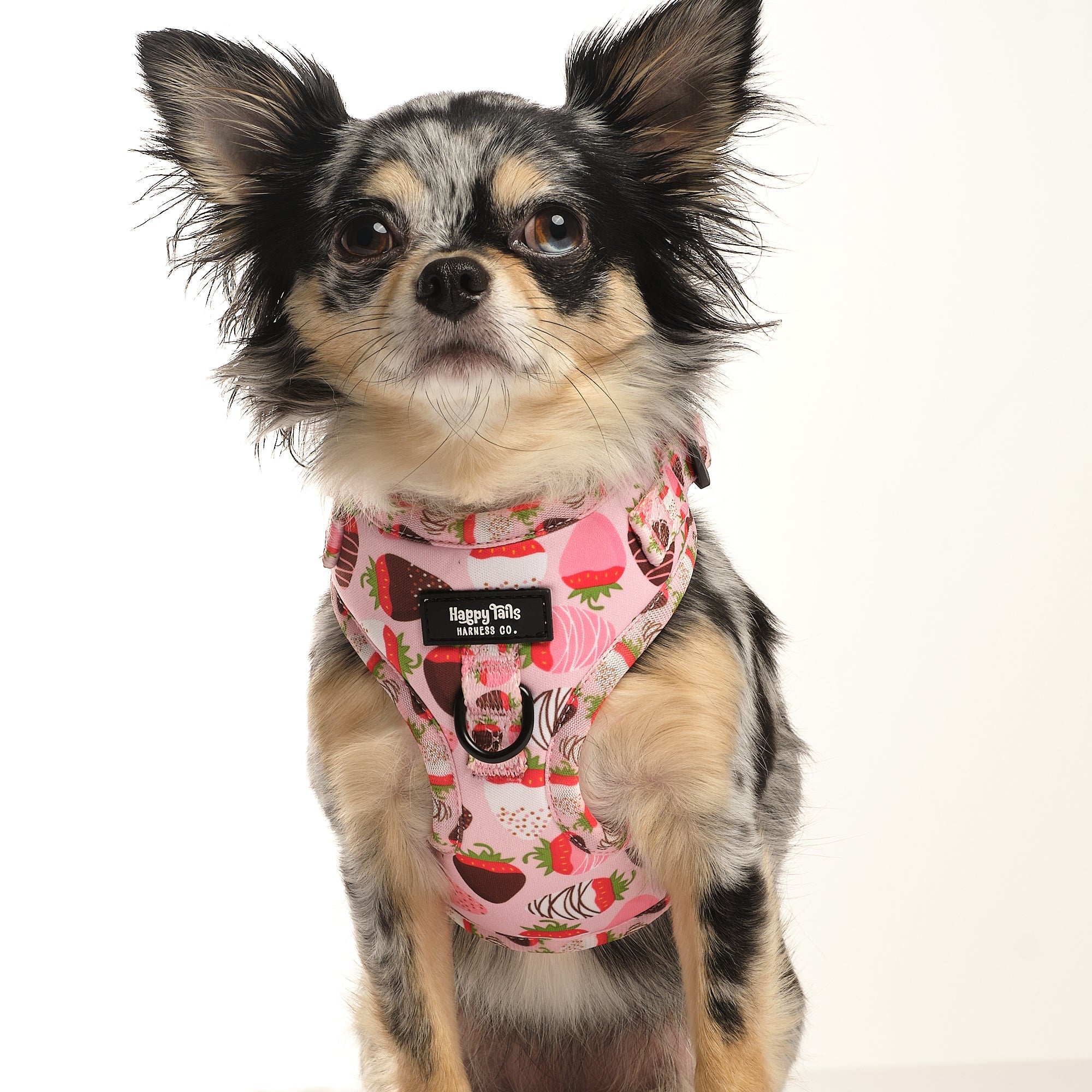 ChocoBerry Bliss Adjustable Harness