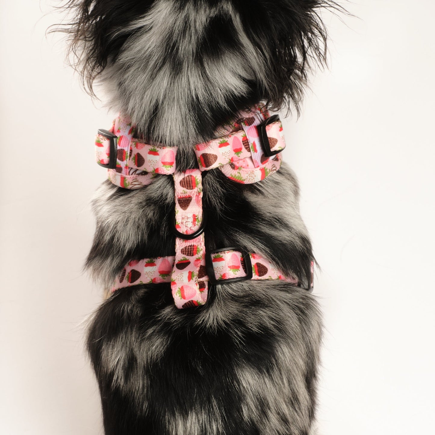 ChocoBerry Bliss Walking Set