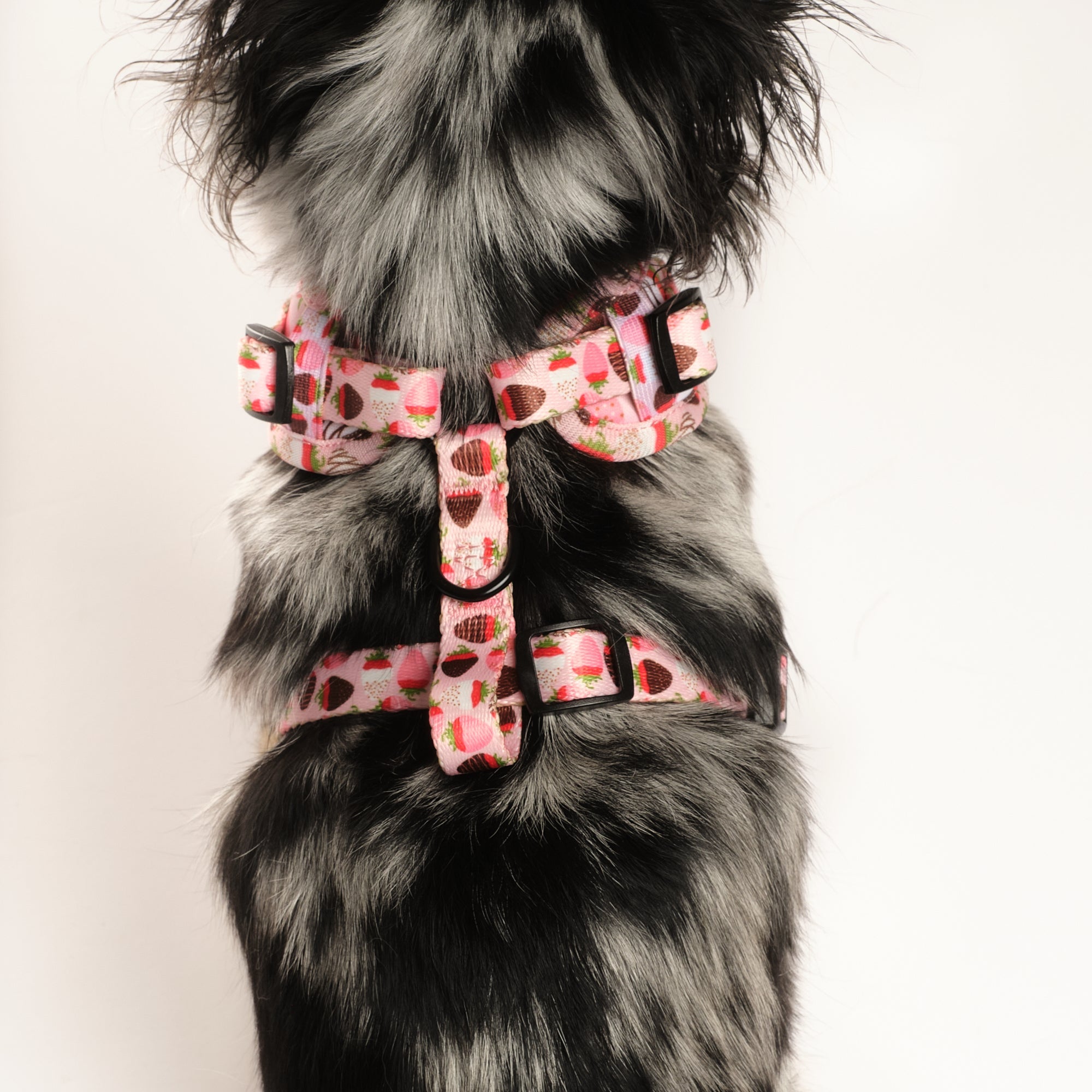 ChocoBerry Bliss Adjustable Harness