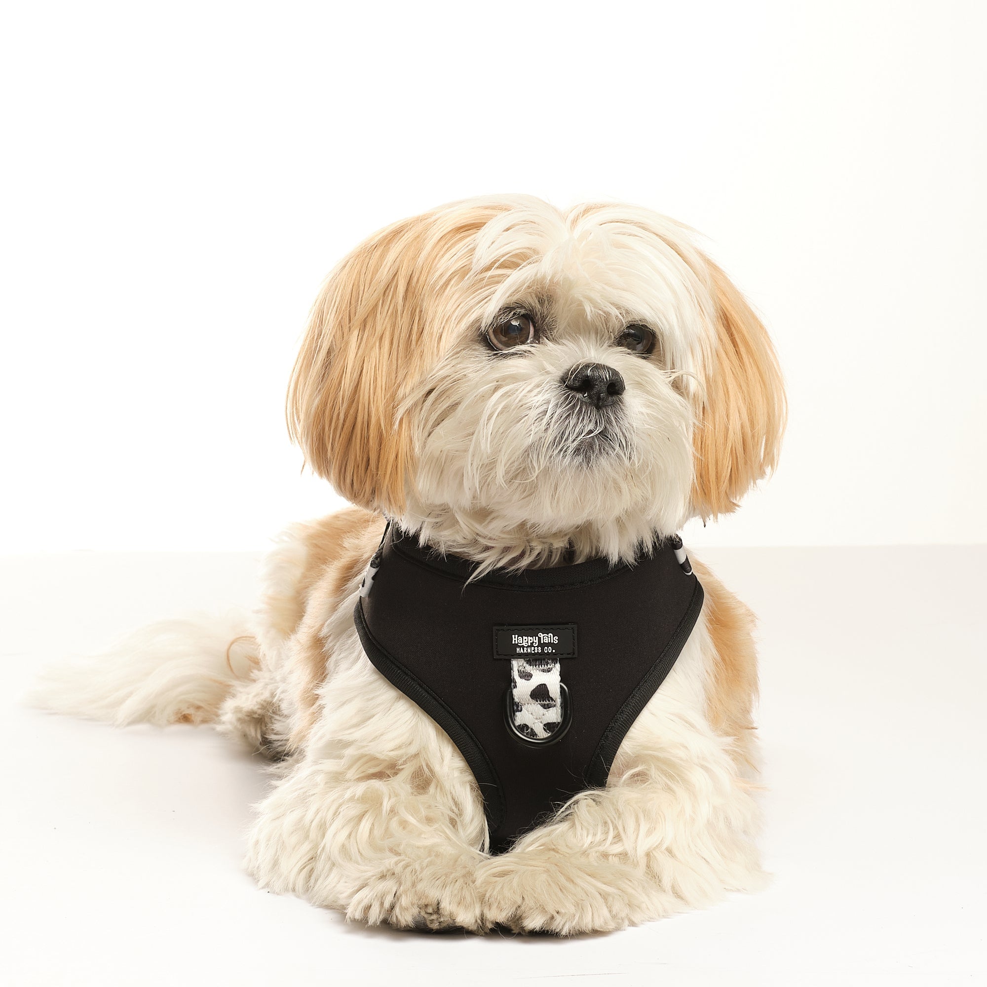 Dairy Dog Adjustable Harness