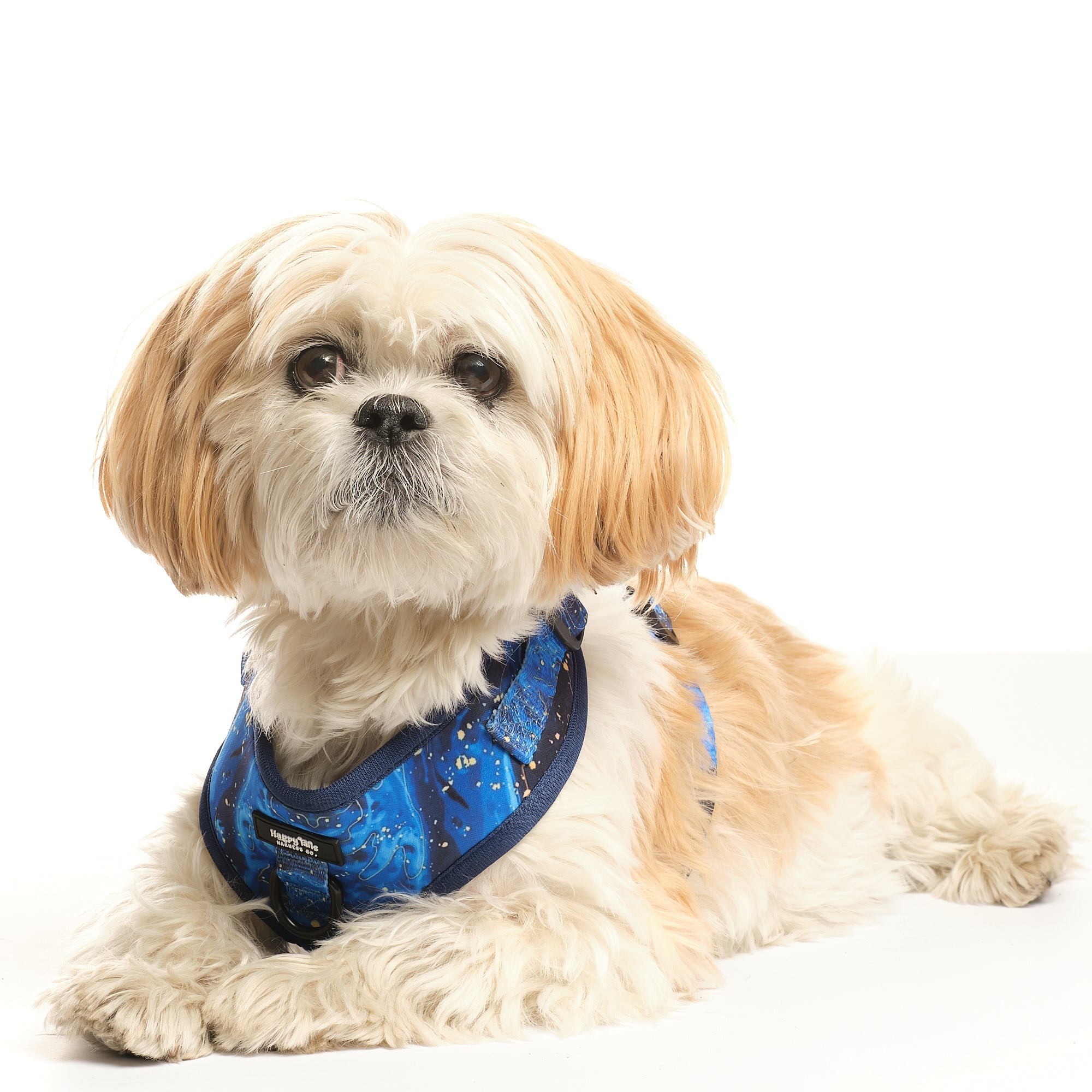 Galaxy Paws Adjustable Harness