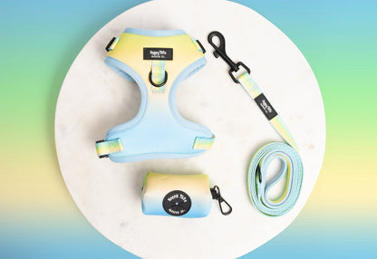 Pastel Breeze Walking Set