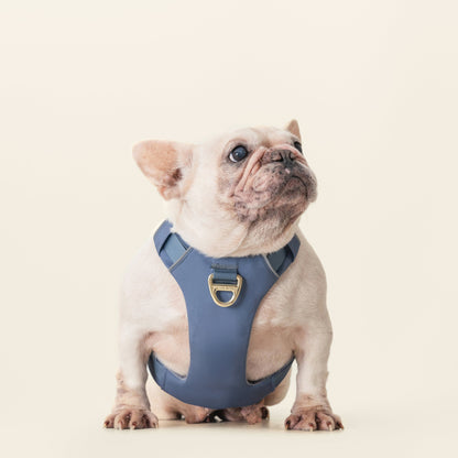 Harness - Stone Blue