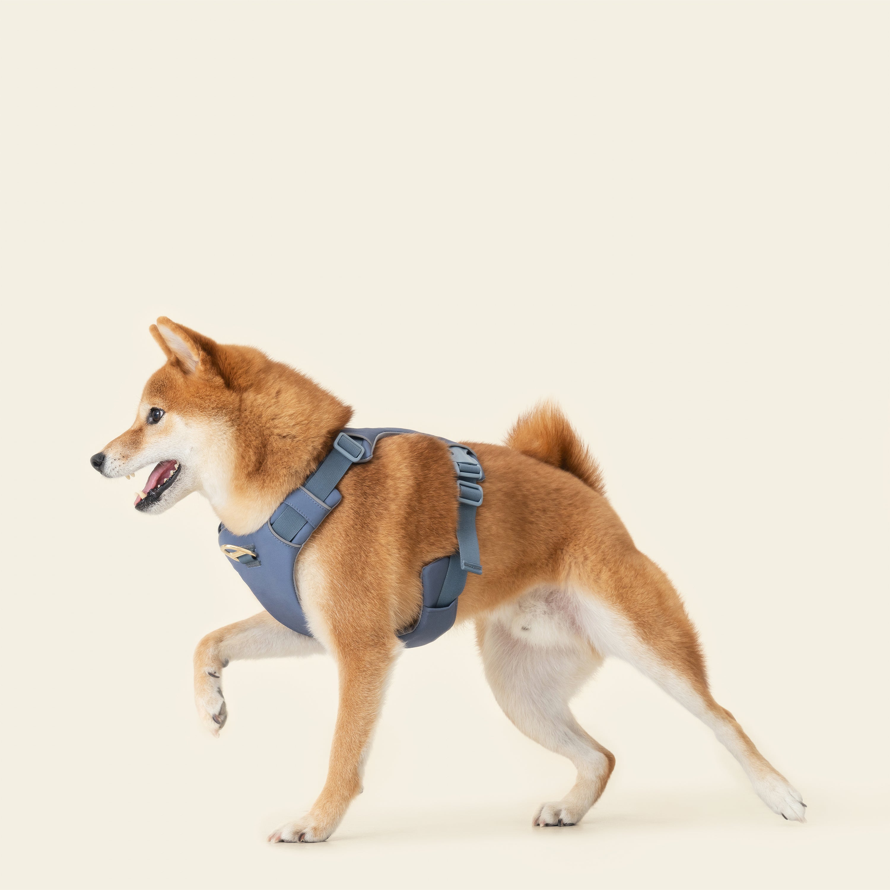 Harness - Stone Blue