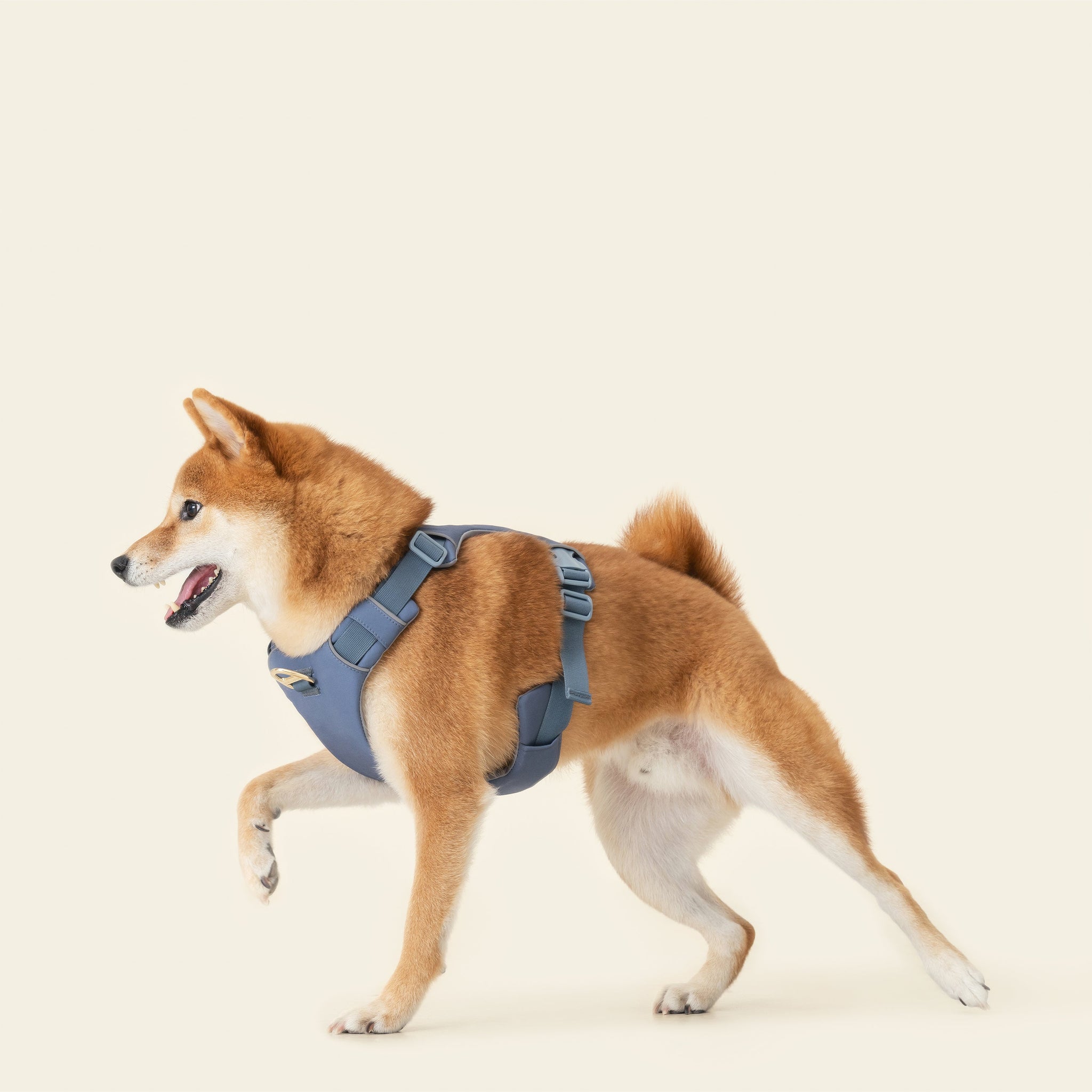 Harness - Stone Blue