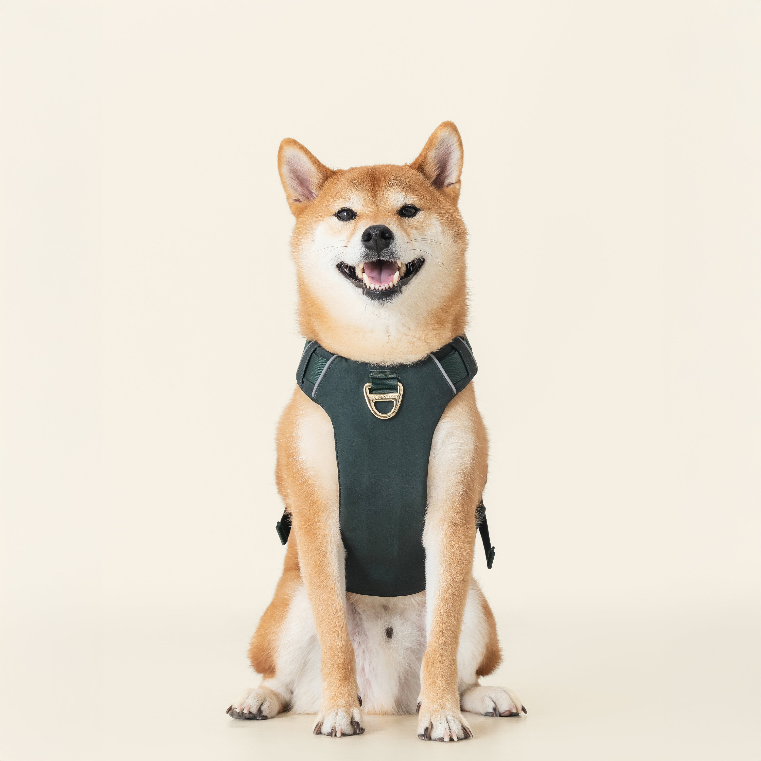 Harness- Forest Green