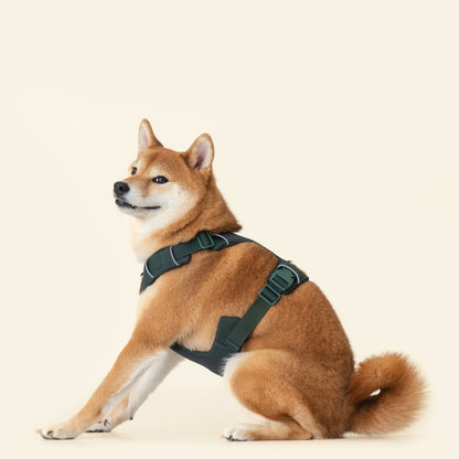 Harness- Forest Green