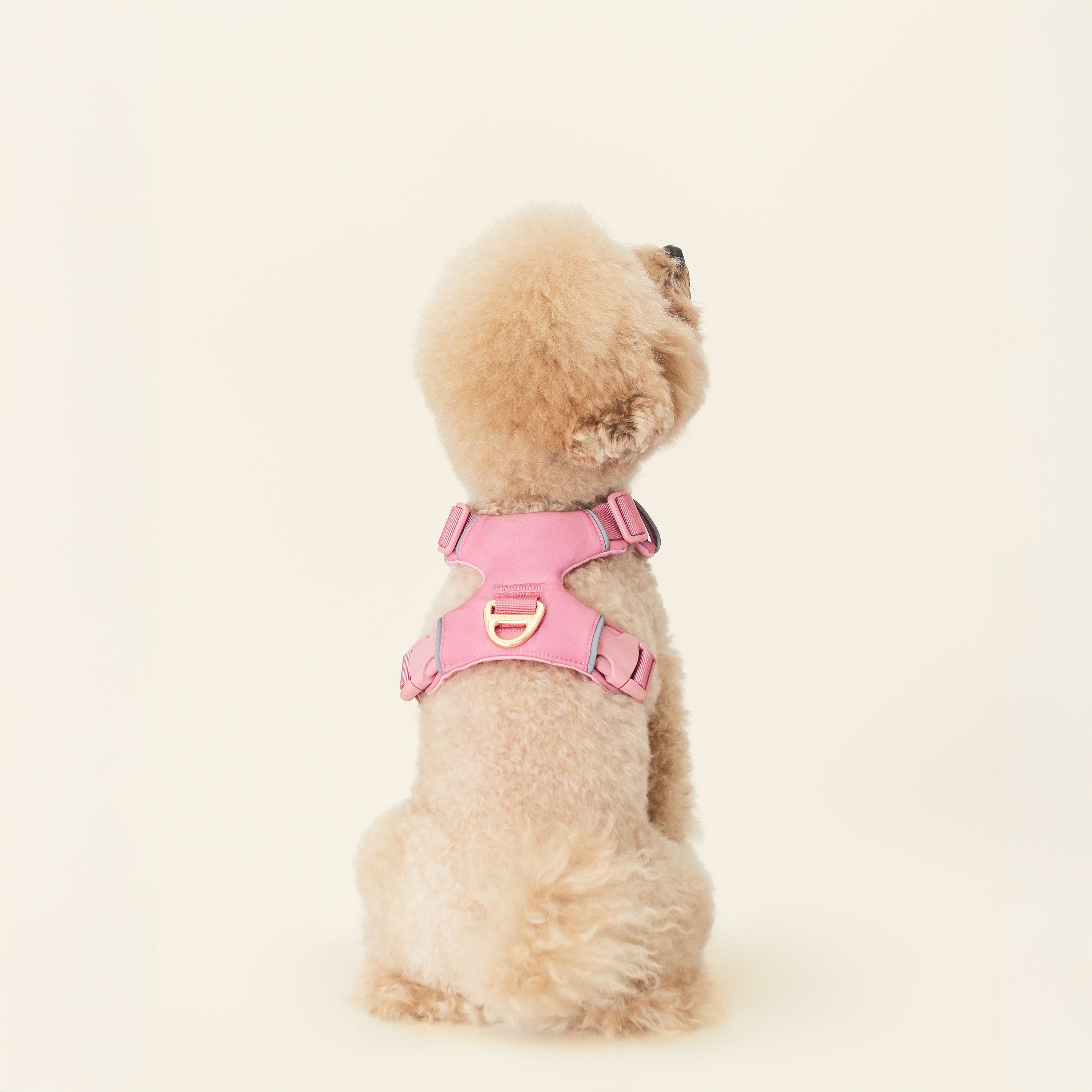 Harness- Baby Pink