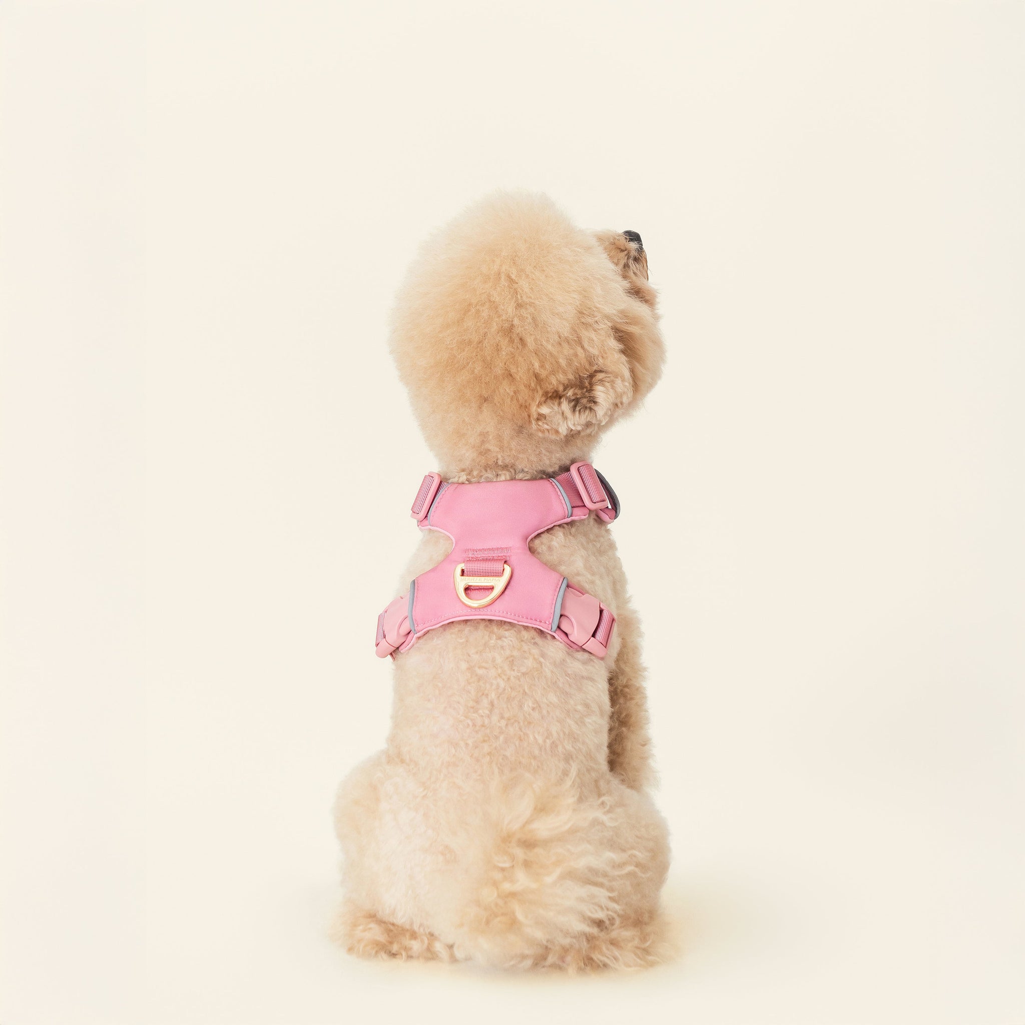 Harness- Baby Pink