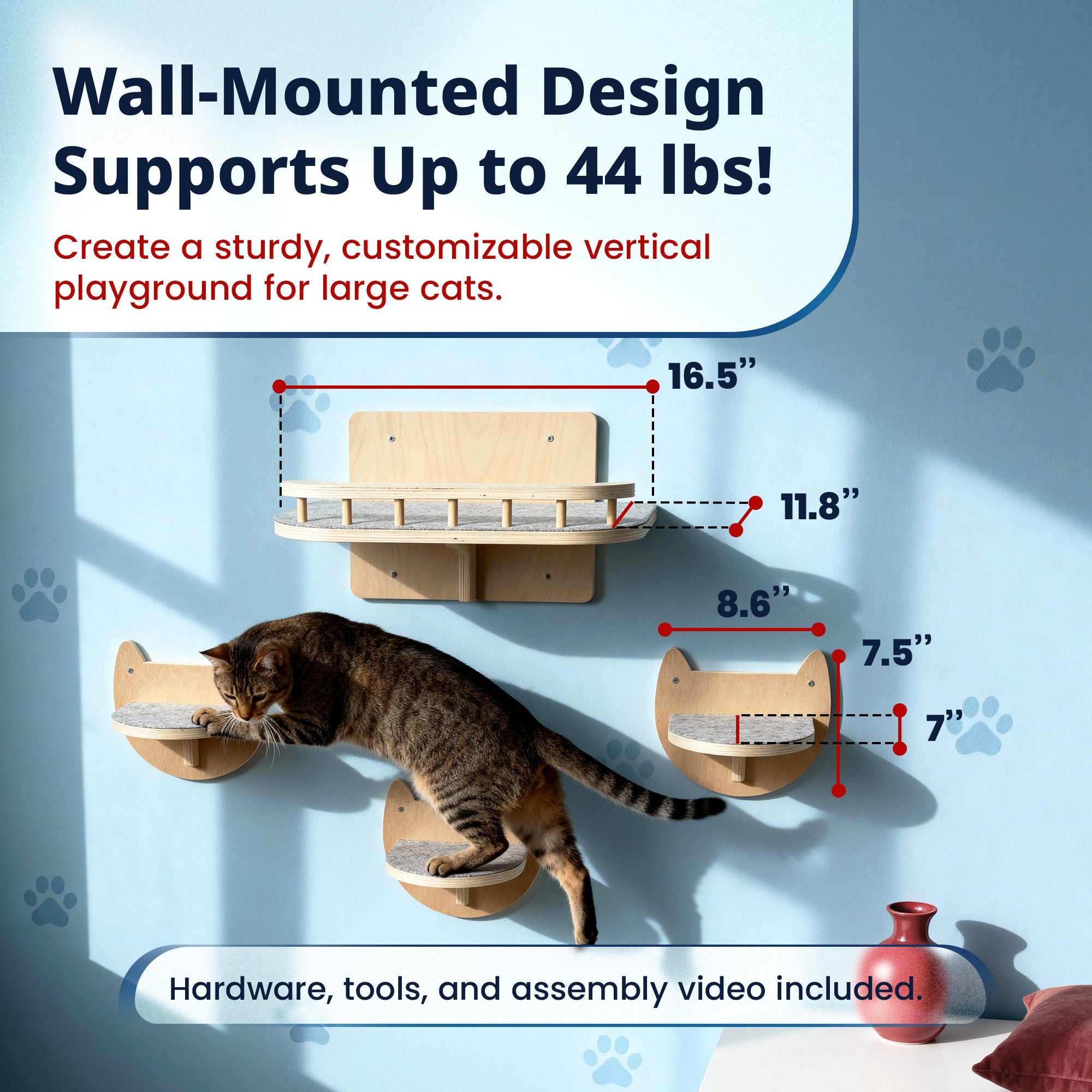 Cat Wall Steps & Shelf