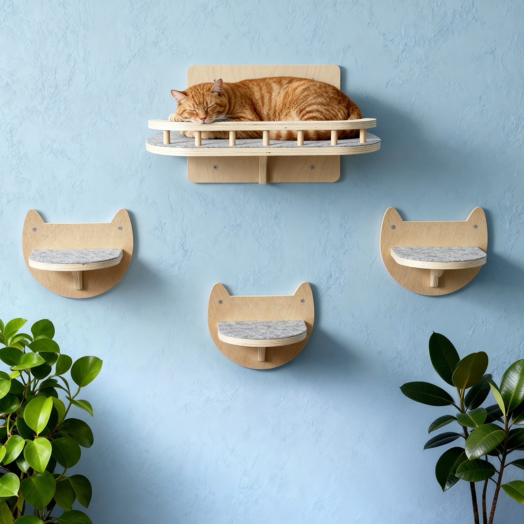 Cat Wall Steps & Shelf