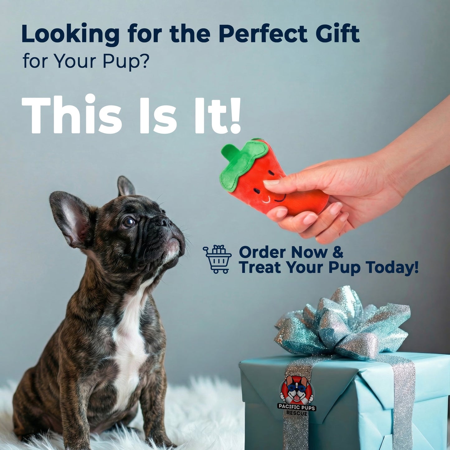 9 Piece Dog Toy Set (for Small & Medium Dogs)