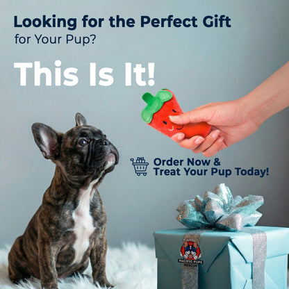 9 Piece Dog Toy Set (for Small & Medium Dogs)