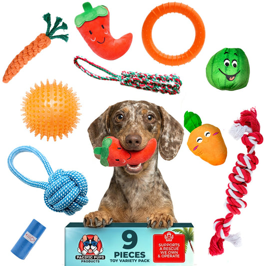9 Piece Dog Toy Set (for Small & Medium Dogs)