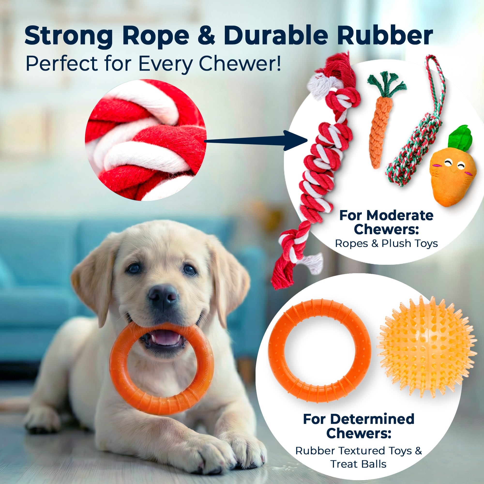 9 Piece Dog Toy Set (for Small & Medium Dogs)