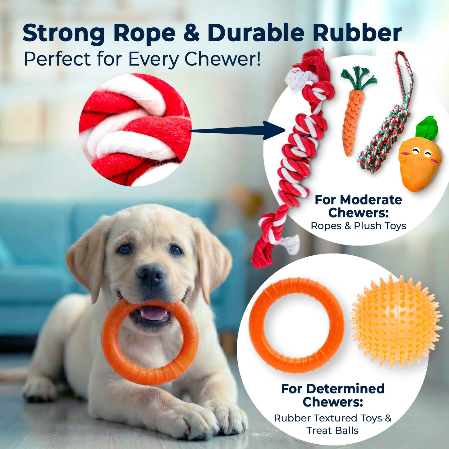 9 Piece Dog Toy Set (for Small & Medium Dogs)