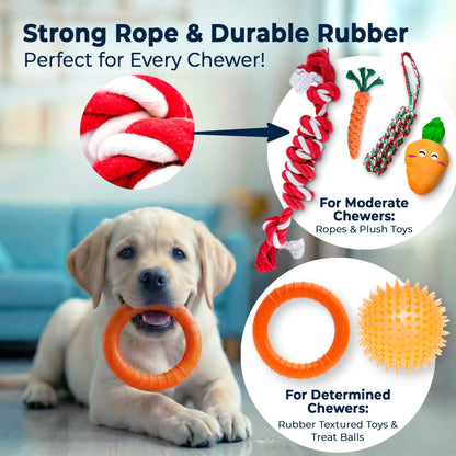 9 Piece Dog Toy Set (for Small & Medium Dogs)