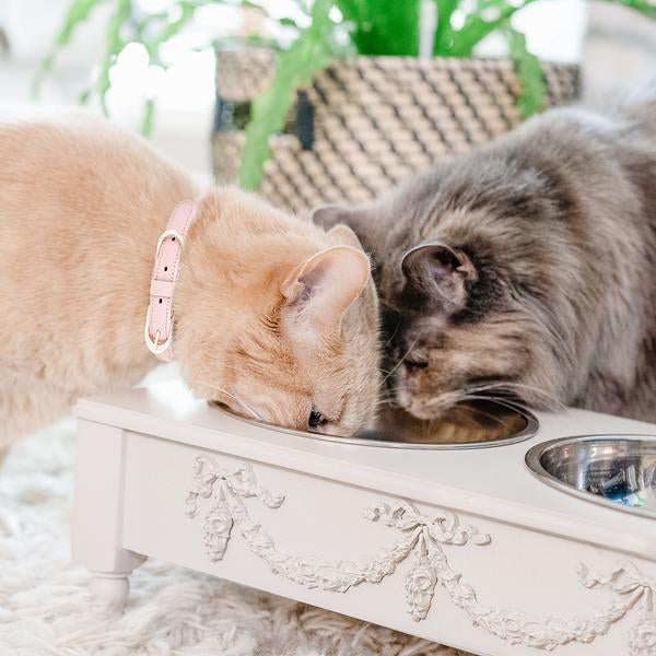 Rose Swag Elevated Pet Bowl / Feeder