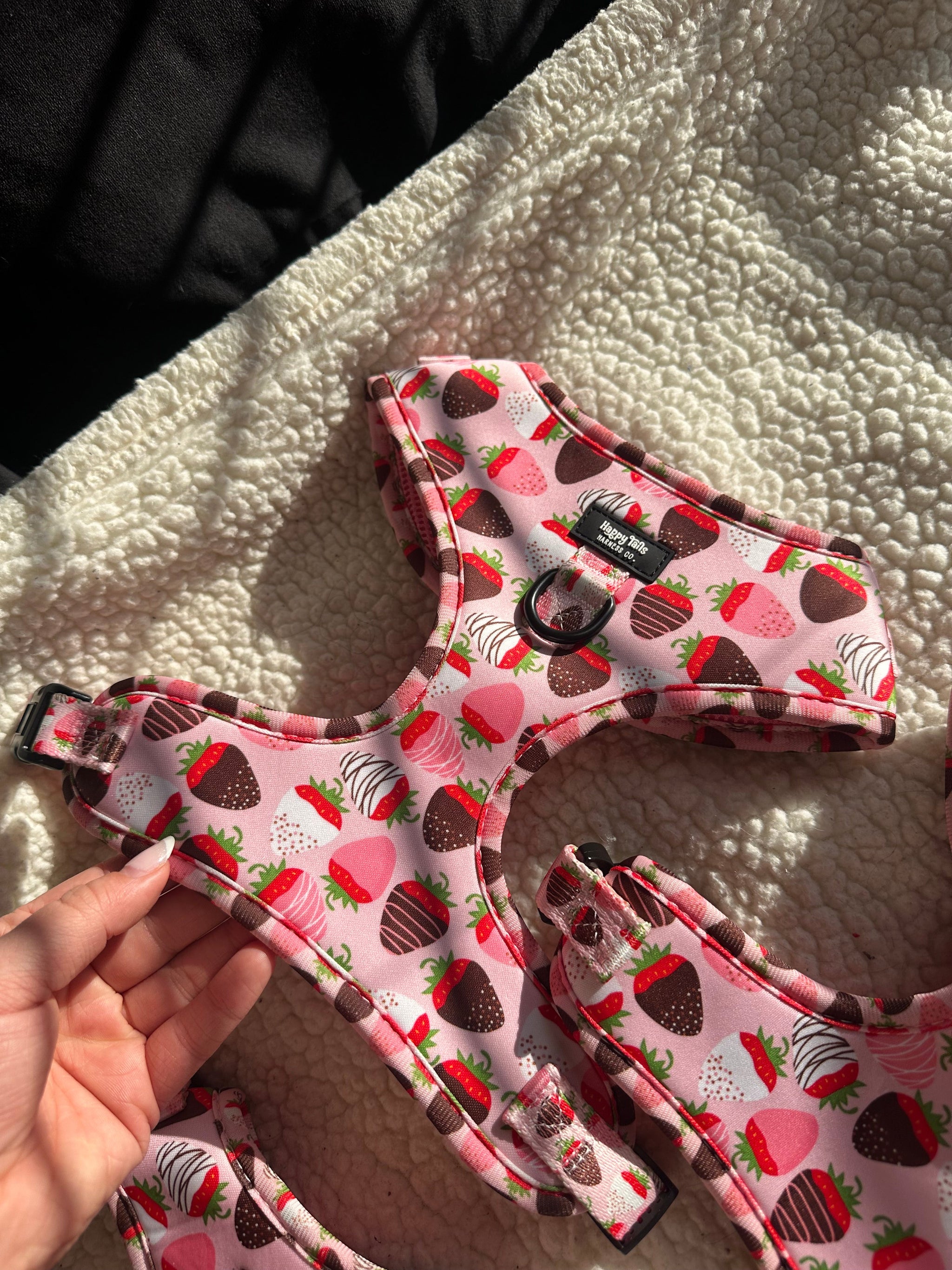 ChocoBerry Bliss Walking Set