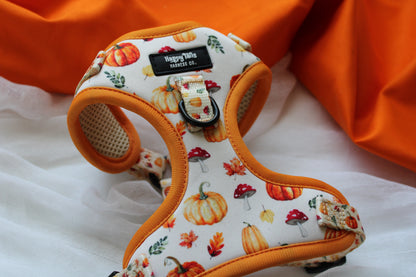 Pumpkin Patch Adjustable Harness