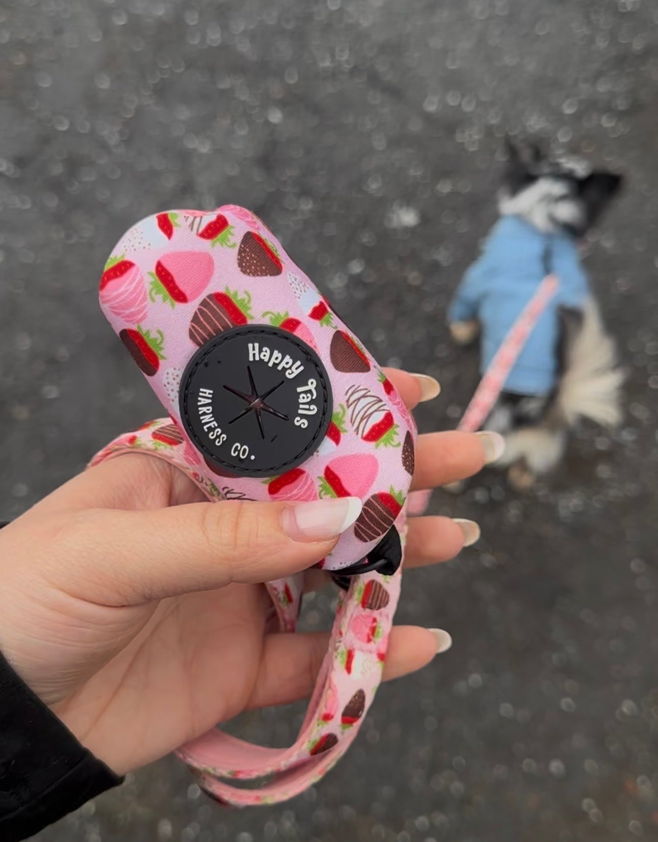 ChocoBerry Bliss Poop Bag Holder