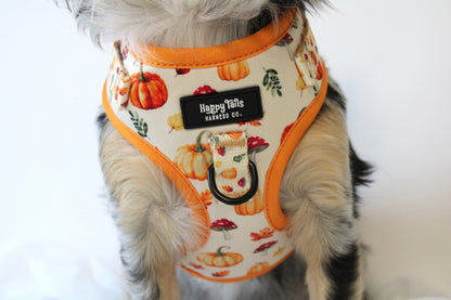 Pumpkin Patch Adjustable Harness