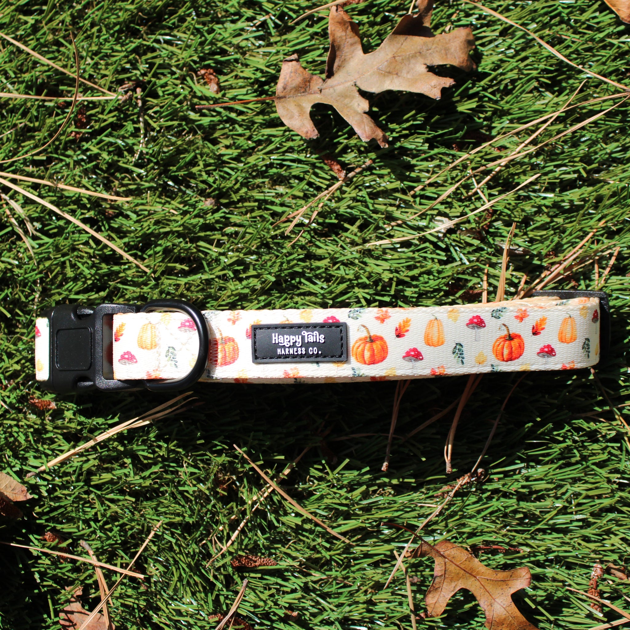 Pumpkin Patch Collar