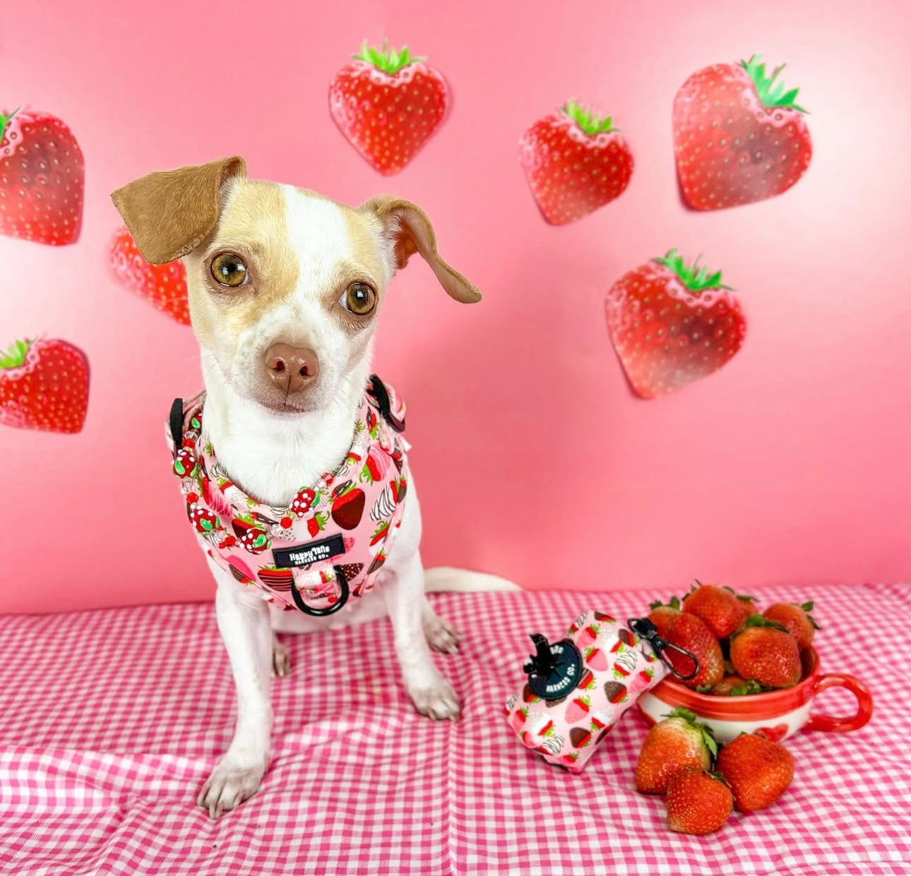 ChocoBerry Bliss Adjustable Harness