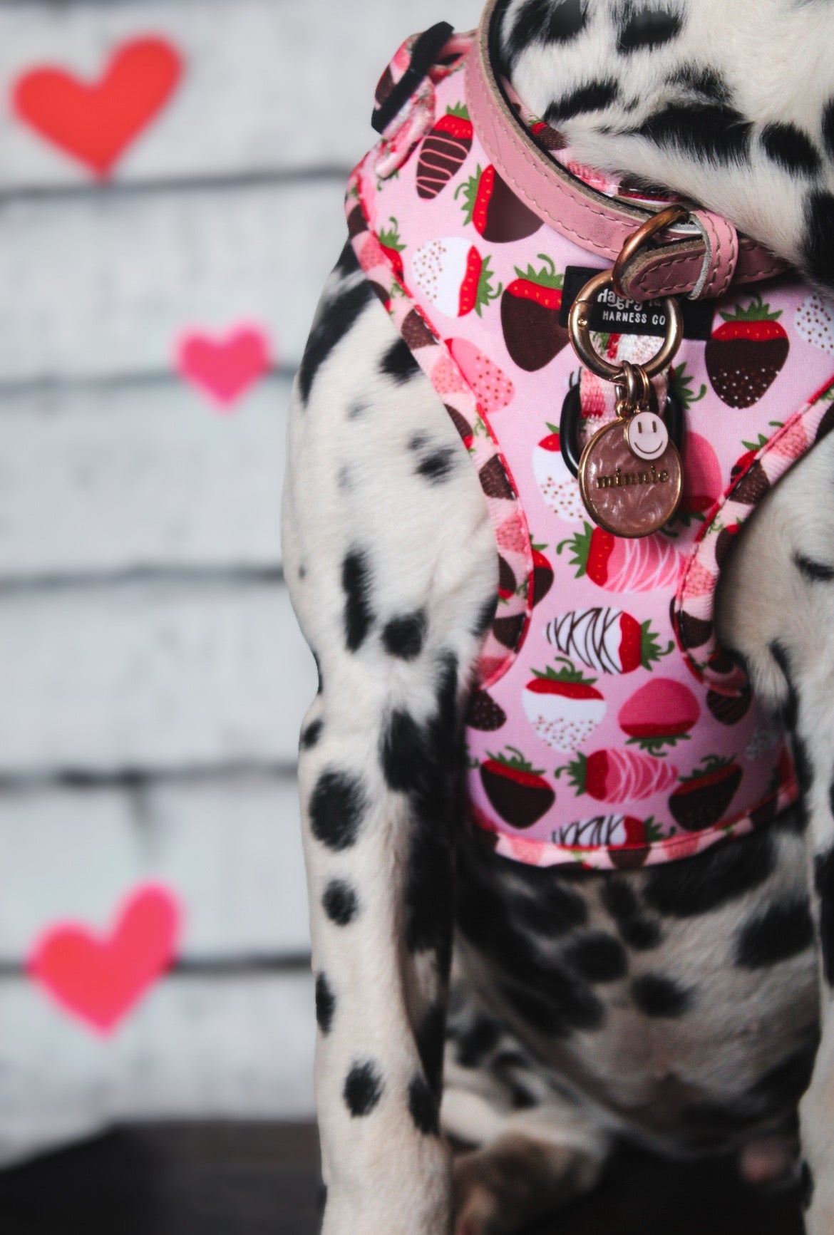 ChocoBerry Bliss Walking Set