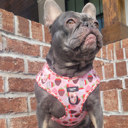 ChocoBerry Bliss Walking Set