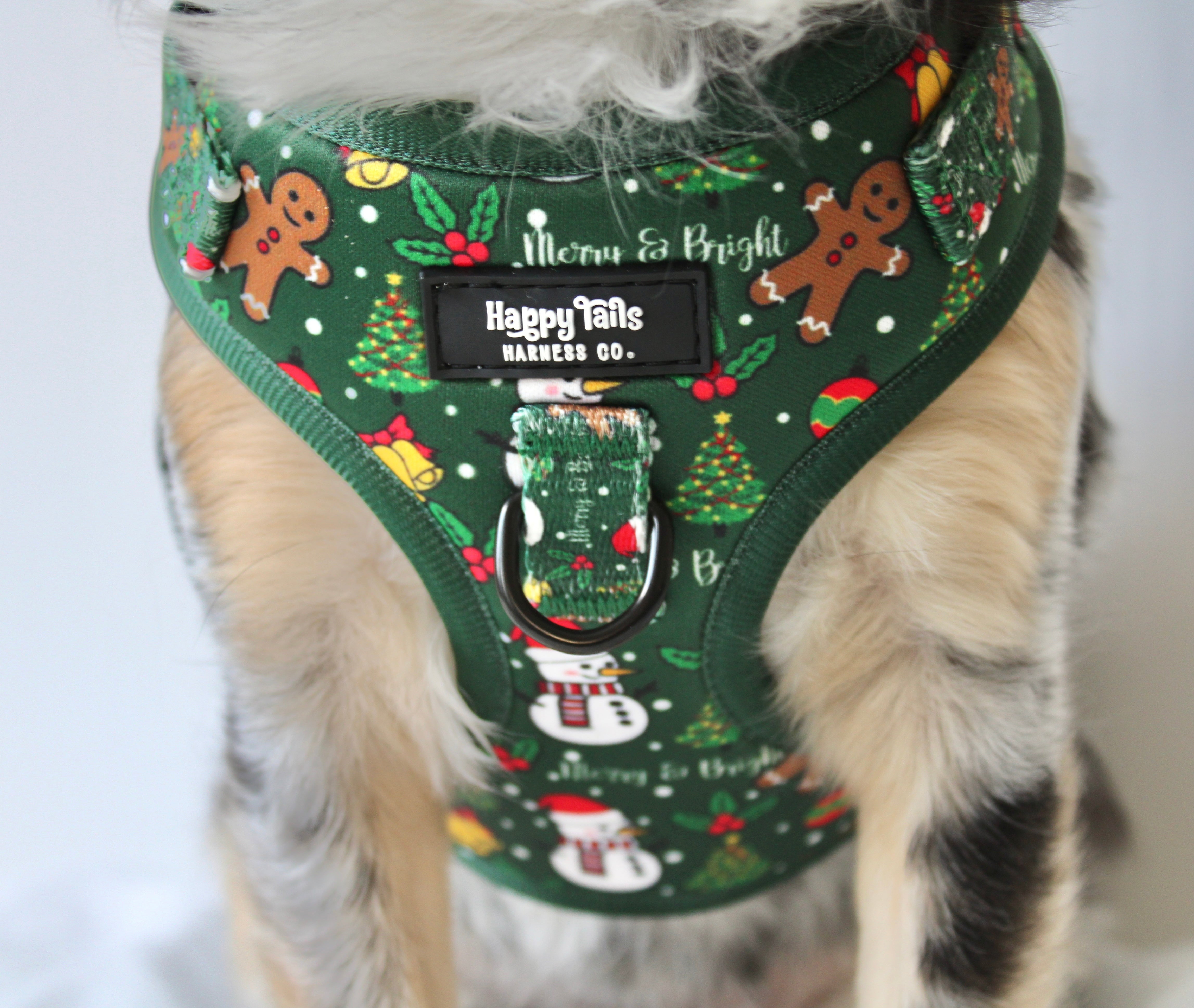 Merry & Bright Walking Set