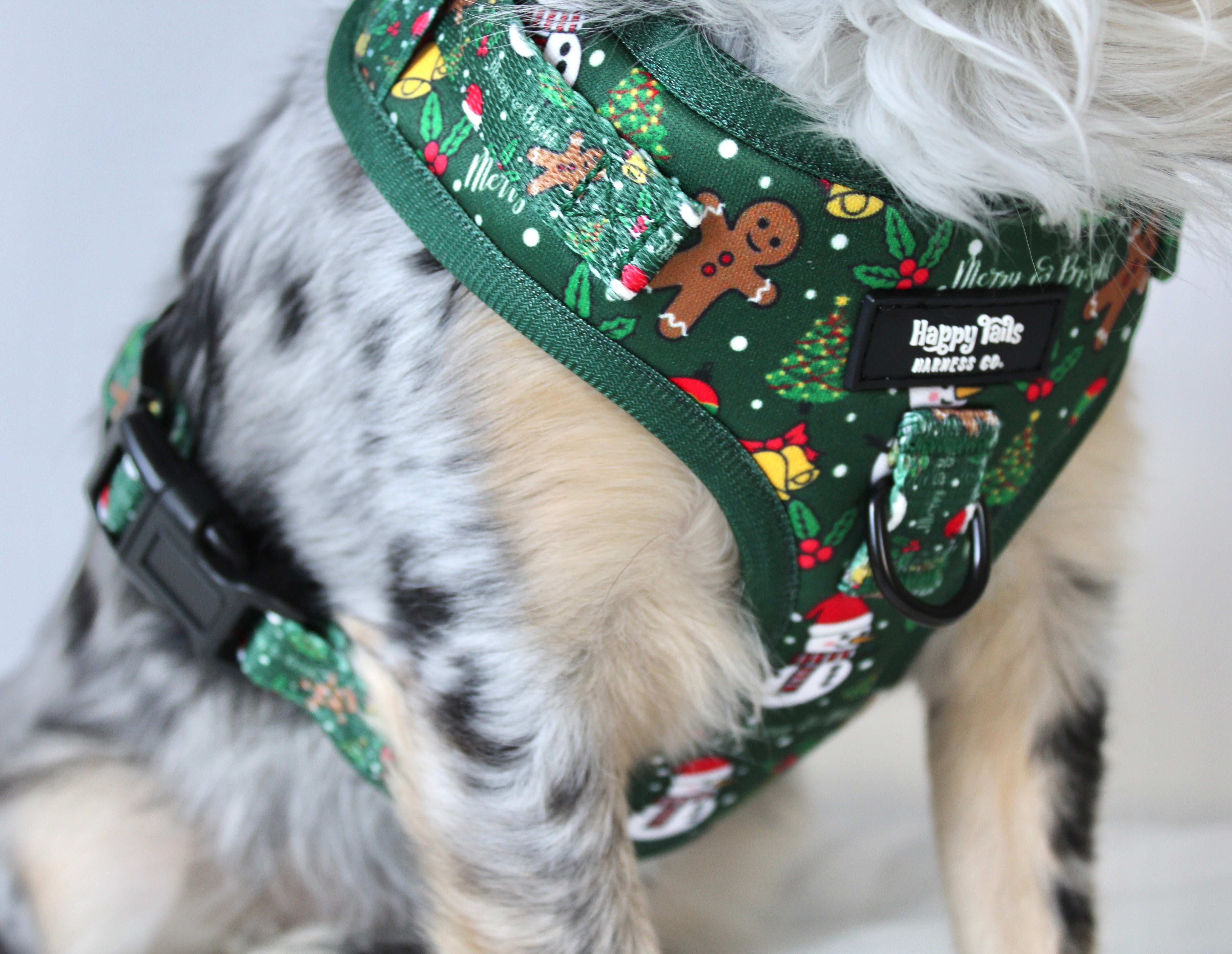Merry & Bright Walking Set