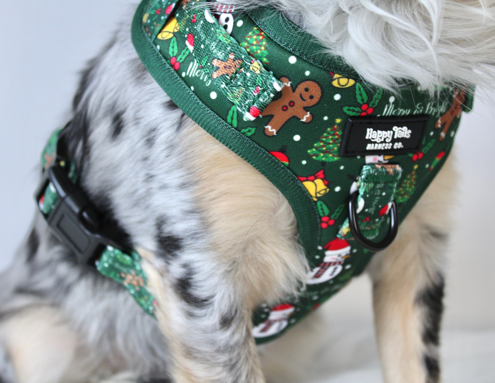 Merry & Bright Walking Set