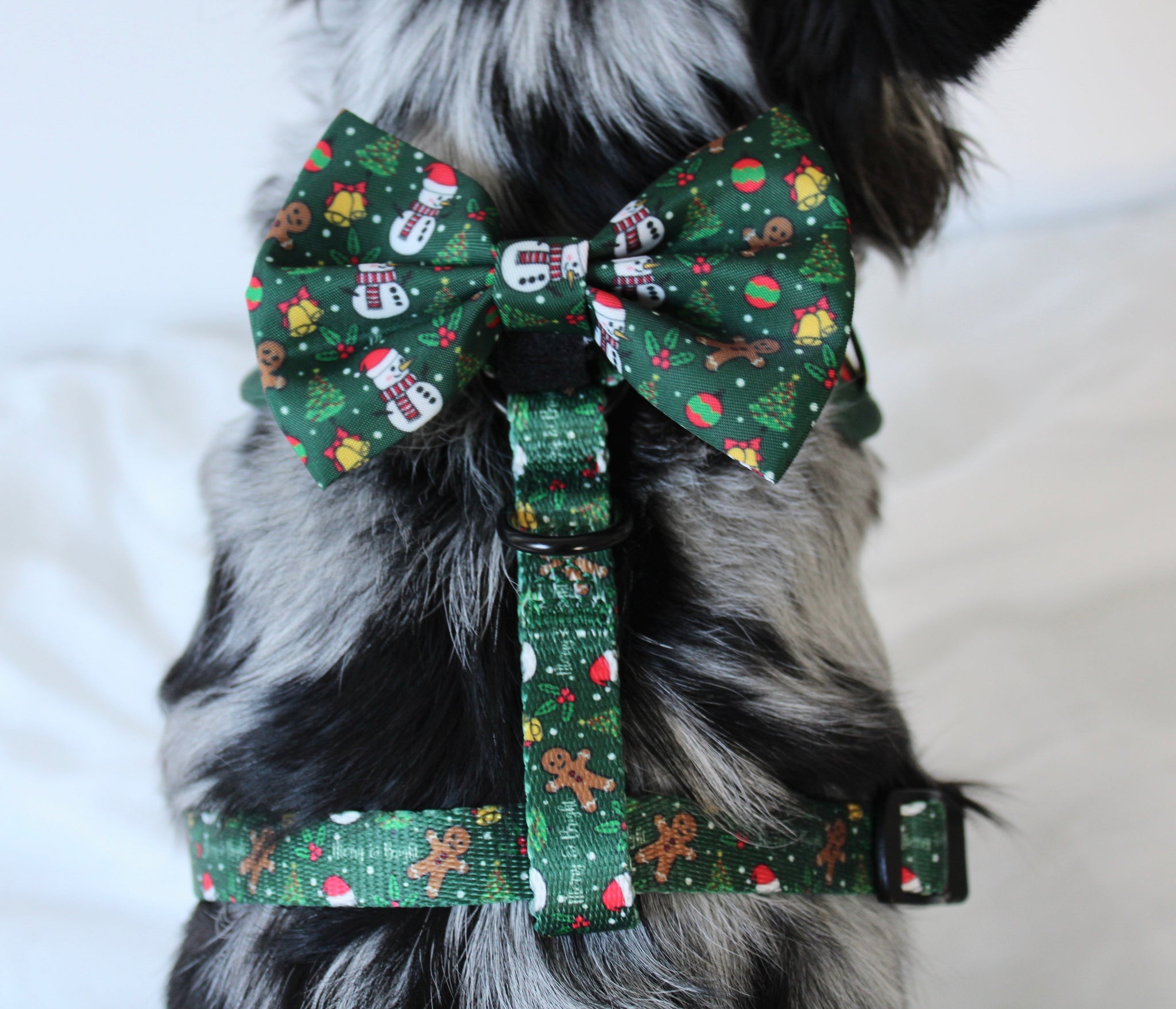 Merry & Bright Bow Tie