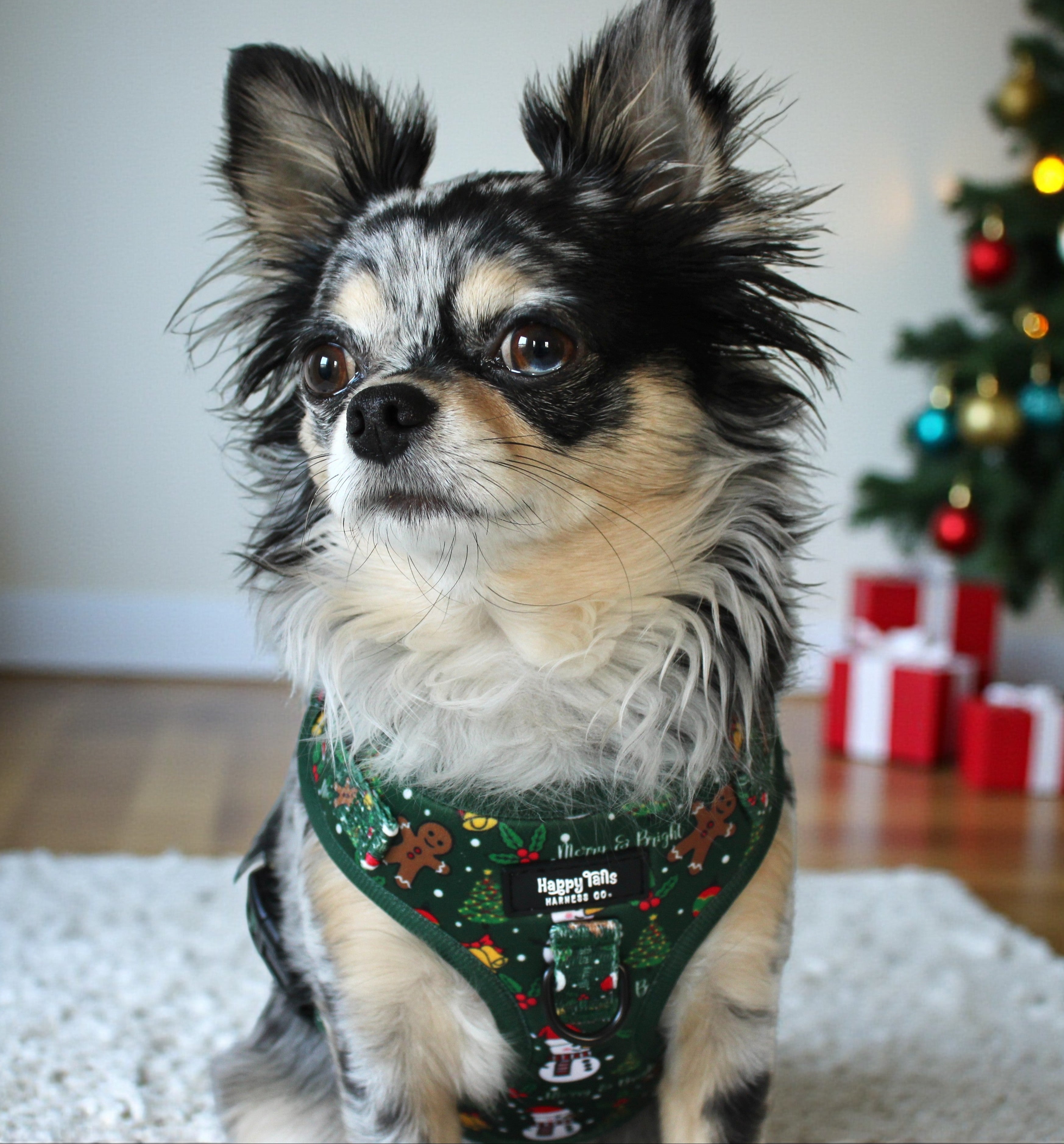 Merry & Bright Walking Set