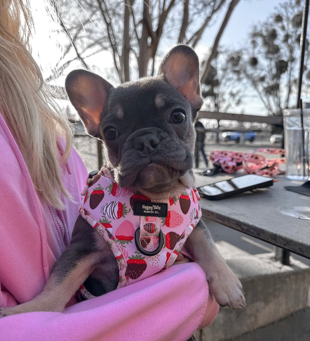 ChocoBerry Bliss Walking Set