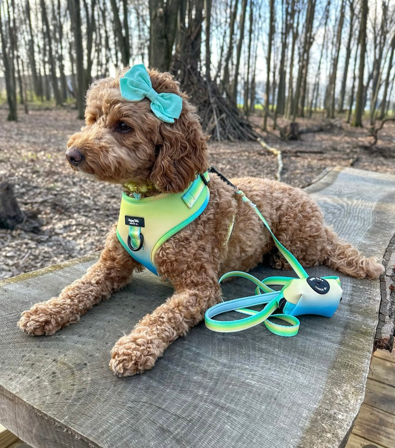 Pastel Breeze Walking Set