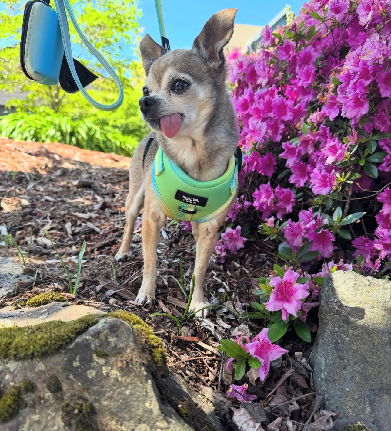 Pastel Breeze Poop Bag Holder