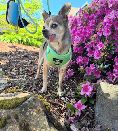 Pastel Breeze Poop Bag Holder