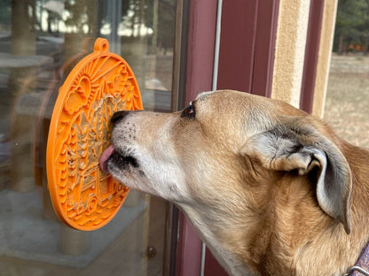 Camp eMat Enrichment Lick Mat