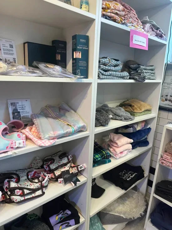 inStorify kiosk at Lenny · Little L's Pet Bakery