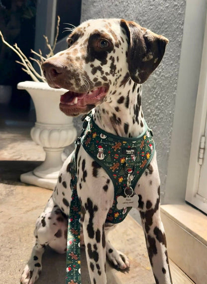 Merry & Bright Leash