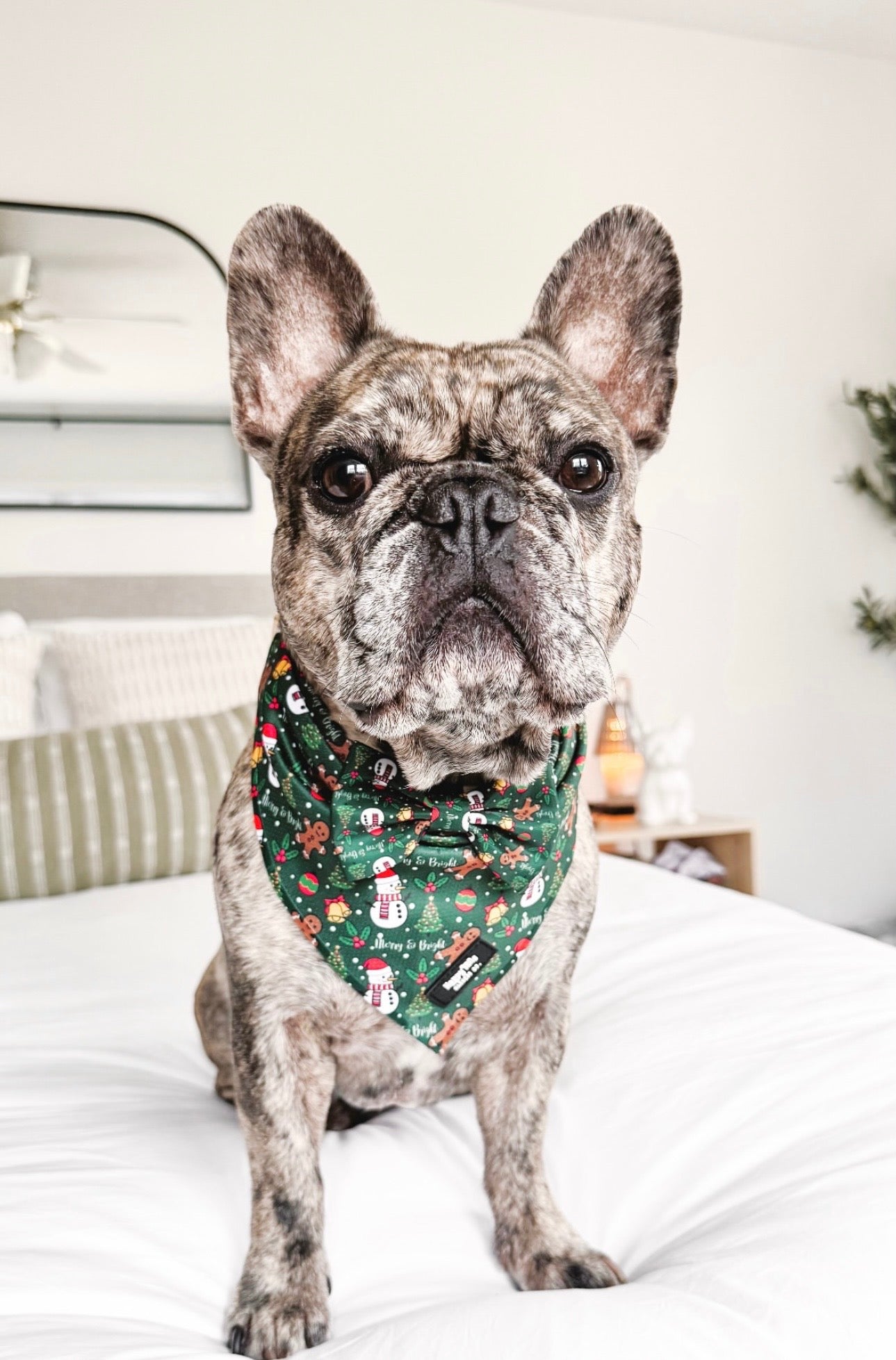 Merry & Bright Bow Tie