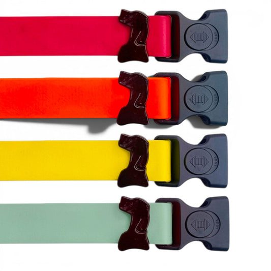 Sport Collection Collars- Flexible Biothane