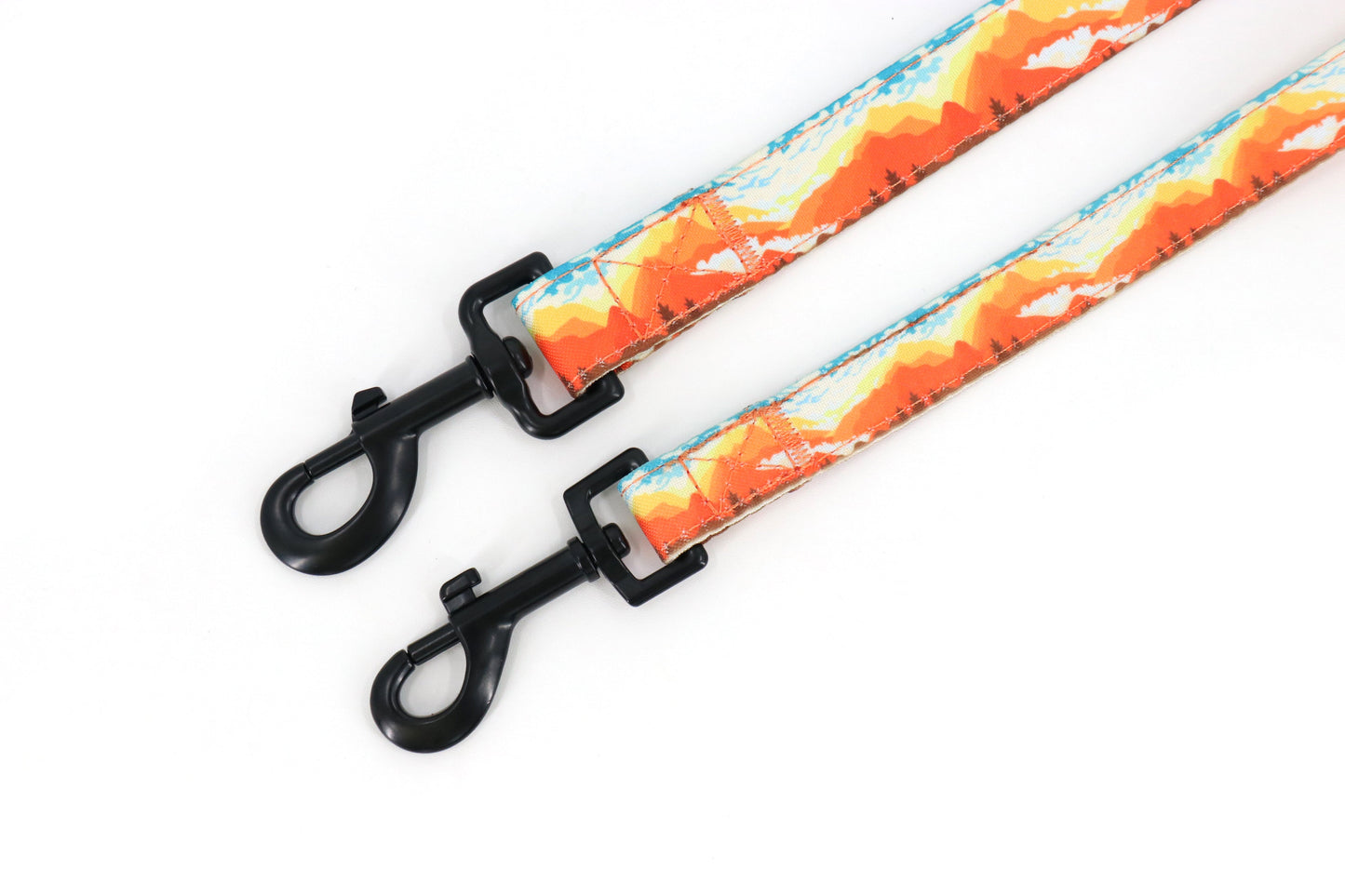 Mountainscape Dog Leash - Orange