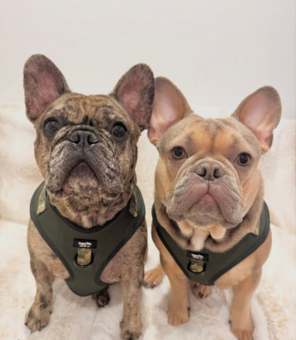 Camo Canine Adjustable Harness