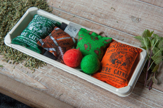 Party Packs